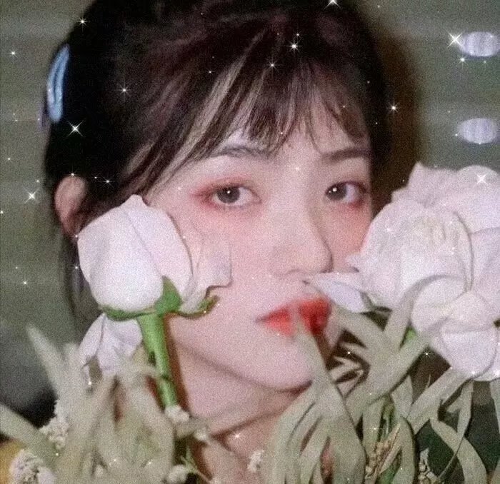 热播剧集